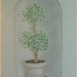alcove